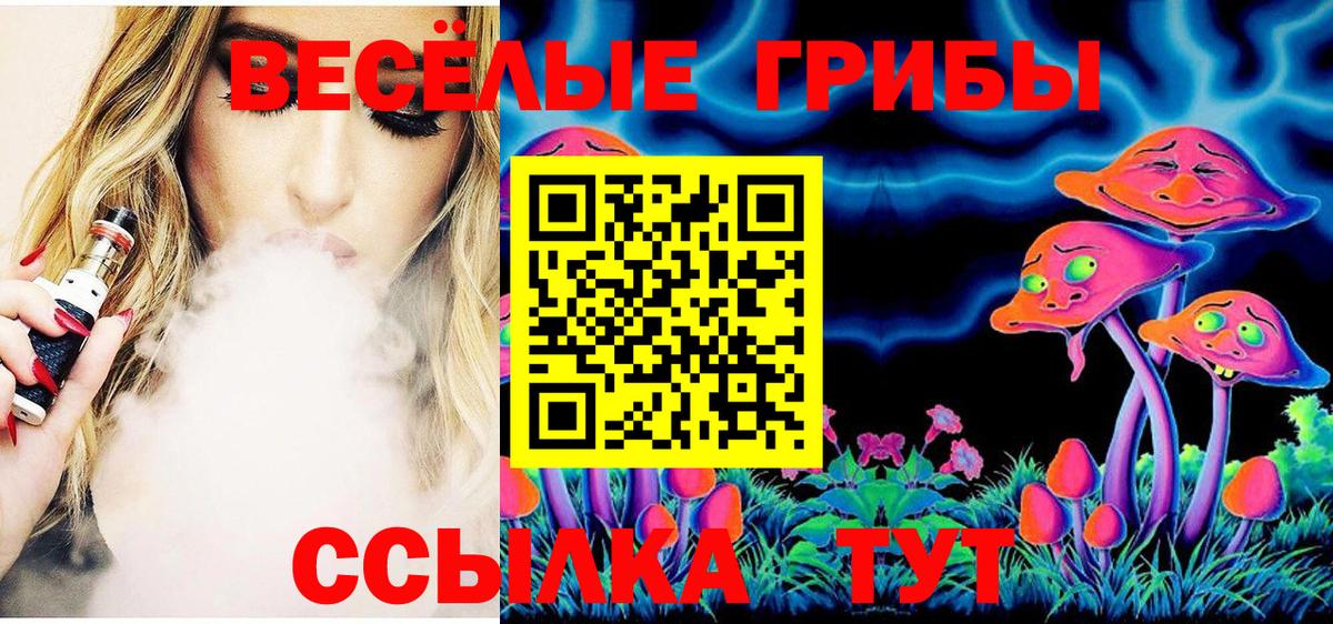 даркнет сайт  Псилоцибиновые грибы GOLDEN TEACHER  Шали  Вход с VPN  Псилоцибиновые грибы мухоморы 